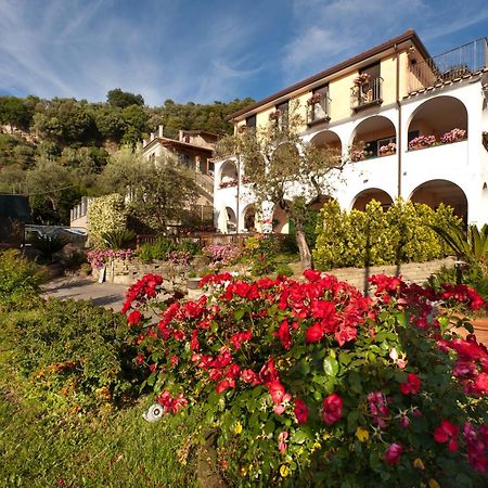 Villa Pane Resort Sorrento Eksteriør billede