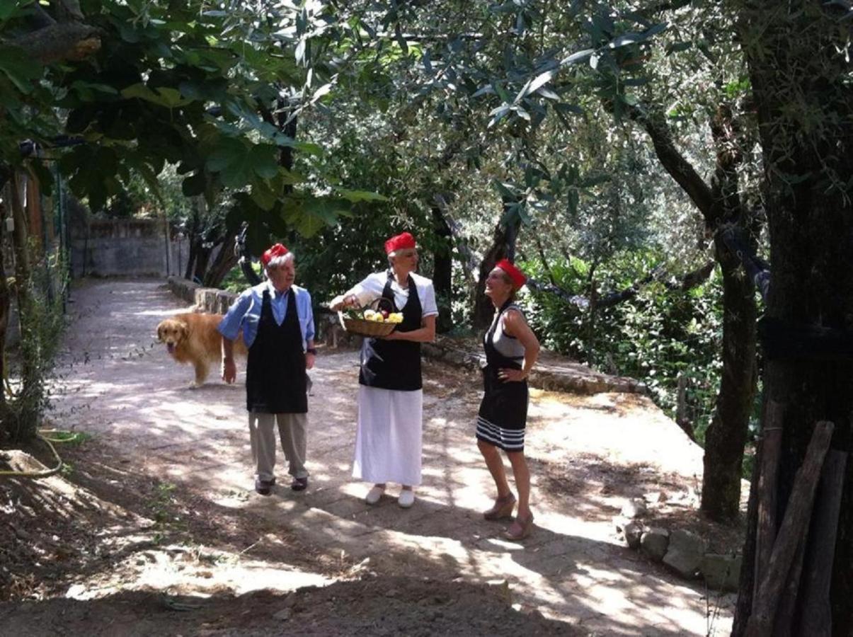 Villa Pane Resort Sorrento Eksteriør billede
